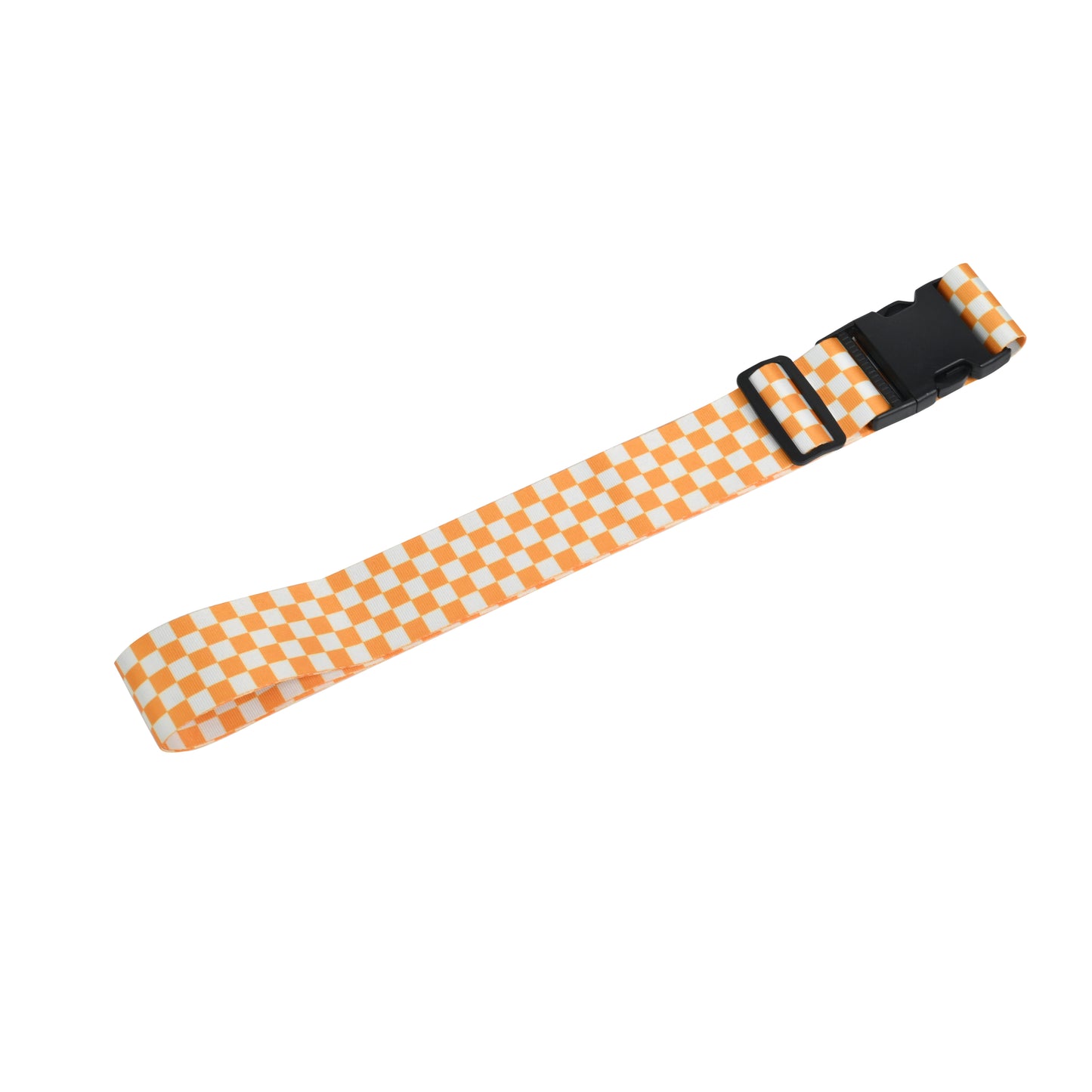 luggage belt with buckle