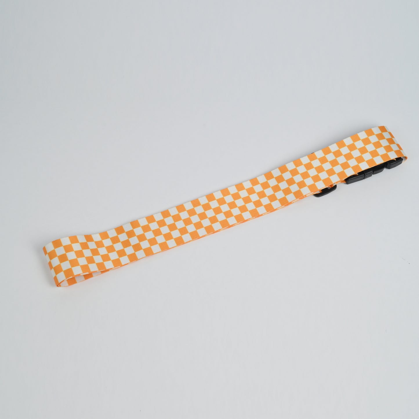 luggage belt with buckle