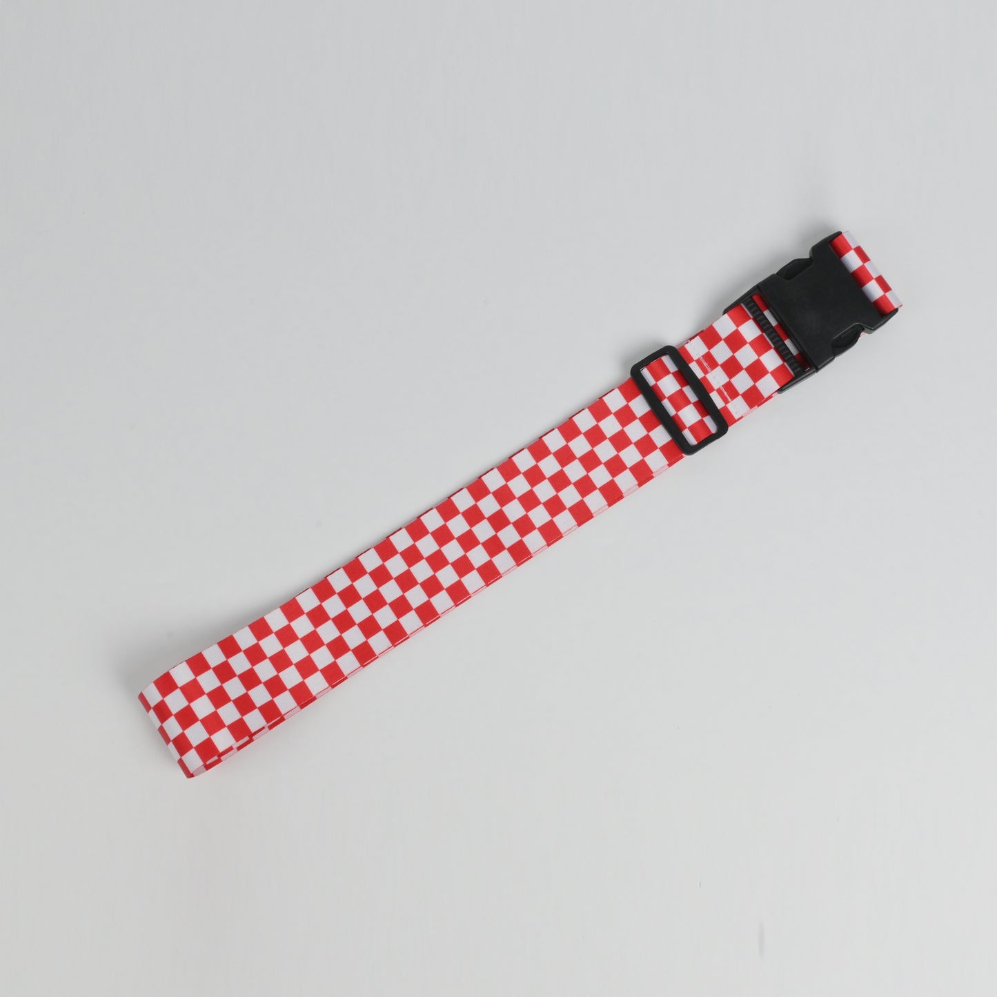 luggage belt with buckle