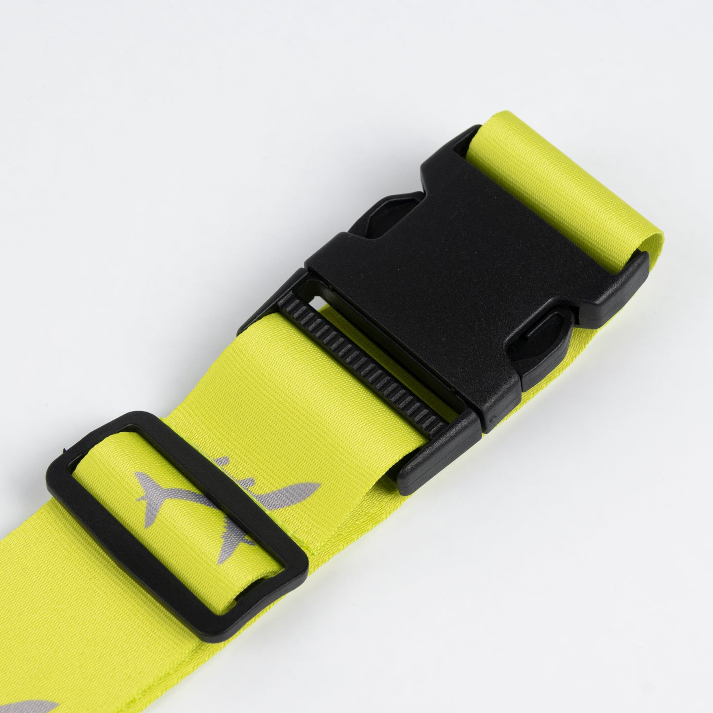 Luggage belt with buckle
